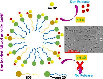 Gold Nanoparticle Coated Hybrid Mixed Micelles for pH Sensitive In Vitro Drug Release