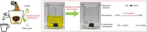 MXene-Functionalized Polyethyleneimine Gel and Its Adsorption-Assisted Photocatalysis Behavior for Efficient CR(VI) Removal from Water