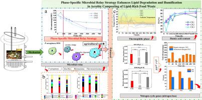 Phase-specific microbial relay strategy enhances lipid degradation and humification in aerobic composting of lipid-rich food waste
