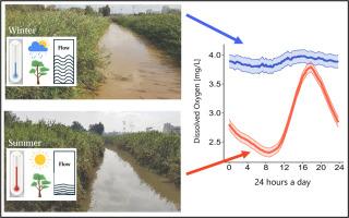 Daily, seasonal, and flood-dependent dynamics of water quality in a lowland urban stream in a Mediterranean climate