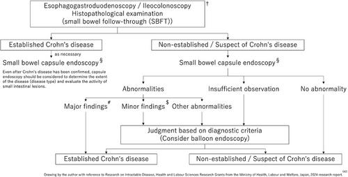 Capsule Endoscopy in Inflammatory Bowel Disease: Current Status and Issues in Clinical Practice