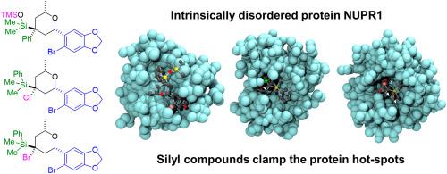 Organosilicon molecules bind to the intrinsically disordered protein NUPR1 by clamping its hot-spots