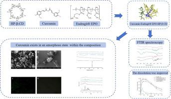 Development of a dual-phase solubilization system based on Hydroxypropyl-β-cyclodextrin /Eudragit® EPO for enhancing the dissolution of curcumin