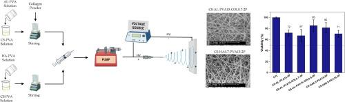 Nanofibrous scaffolds based on polyelectrolyte complexes of chitosan-alginate-COLLAGEN and chitosan-hyaluronic acid for tissue Engineering