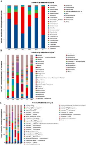 Effect on Arabica Coffee Flavor Quality of Enhanced Fermentation With Pichia membranifaciens Through Change Microbial Communities and Chemical Compounds