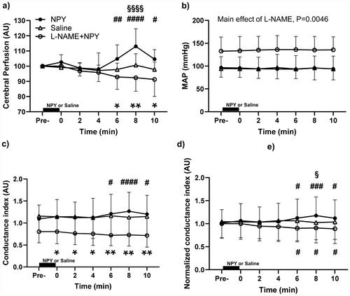Modulatory Role of Nitric Oxide on the Vasomotor Actions of NPY in Porcine Cerebral Arteries