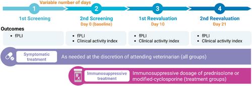 Randomized Open-Label Clinical Trial Comparing Prednisolone and Cyclosporine With a Nonrandomized Active Control for Treating Presumed Chronic Pancreatitis in Cats