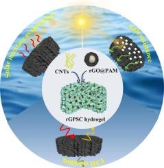 Dual-functional hierarchical hydrogel for solar interface evaporation and absorption-dominated EMI shielding