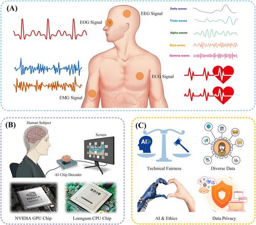 Synergizing DeepSeek's artificial intelligence innovations with brain–computer interfaces