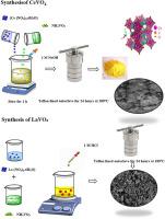 Rare earth orthovanadates RVO4 (LaVO4, CeVO4) bifunctional catalyst for the synthesis of fatty acid methyl esters from Sapindus trifoliatus non-edible oil