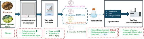 A sustainable approach for the concurrent production of bioethanol and volatile compounds from agro residues using different yeast strains