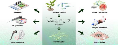 Nanocellulose polymorphs for biomedical applications: Recent advances, prospects and challenges - A review