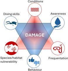 Towards blue diving: analysis and solutions to prevent scuba diving impact in the Mediterranean sea
