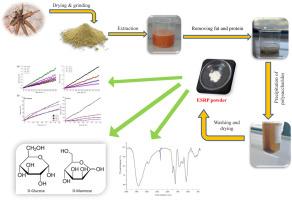 Shear-thinning dynamics and viscoelasticity of a novel Eremurus spectabilis glucomannan: Structural insights and implications for food/pharmaceutical applications