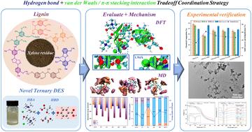 Multiscale exploration of the lignin dissolution mechanism based on novel ternary deep eutectic solvents incorporating p-hydroxybenzoic acid†