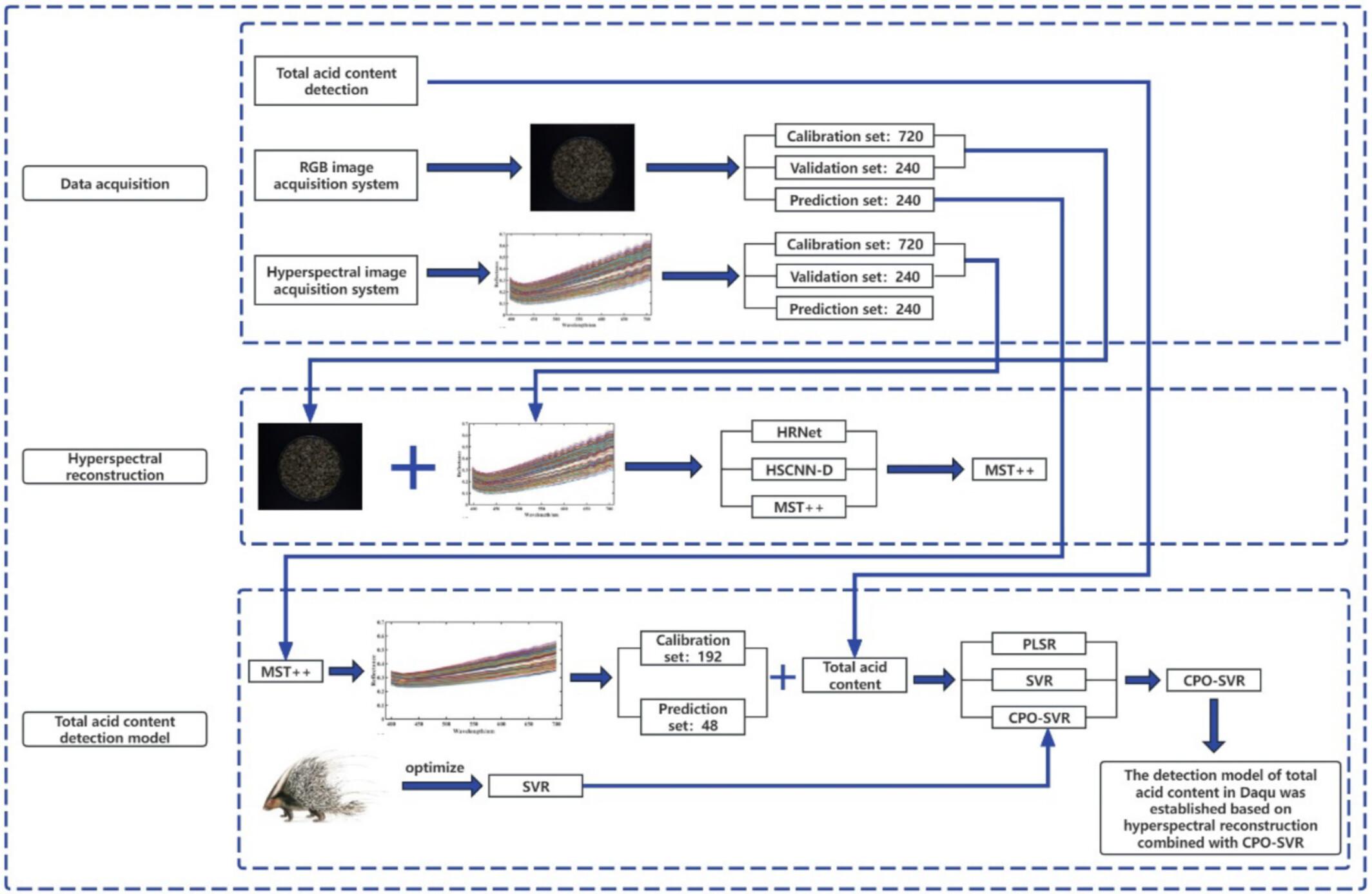Hyperspectral Reconstruction in Combination With a Crown Porcupine Optimization-Optimized Support Vector Regression (CPO-SVR) Machine Learning Model for Predicting the Total Acid Content of Daqu
