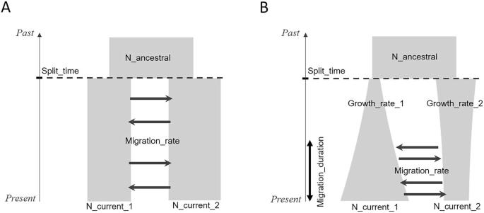 Assessing simulation-based supervised machine learning for demographic parameter inference from genomic data