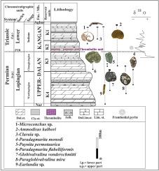 Late Permian - Early Triassic transition in the carbonate-evaporite strata of the eastern part of the Qatar-Fars Arch, Persian Gulf basin