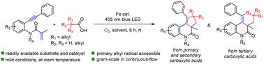 Photo-induced iron-catalyzed [2 + 2 + n] radical cascade for the synthesis of alkylated/spirocyclic polycyclic quinolinones†