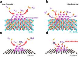 Hydrogen stored in Ru/SnO2 induce alkaline hydrogen oxidation reactions in a wide potential range†