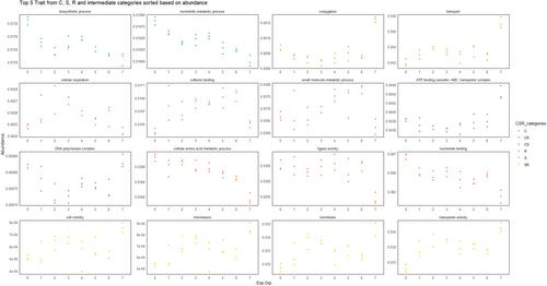 MicroEcoTools: An R package for comprehensive theoretical microbial ecology analysis