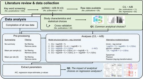 From anarchy to clarity, data pre-processing and statistical choices influence quantitative environmental DNA (eDNA) analyses