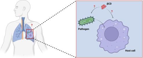 Beta-cyclodextrins in infectious disease therapy: A review of their function beyond simple drug carriers
