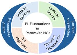Photoluminescence fluctuations in single perovskite nanocrystals: structural, environmental and ligand effect