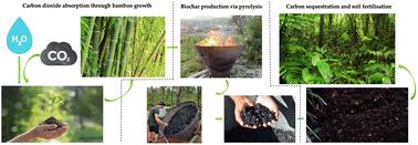 From bamboo to biochar: a critical review of bamboo pyrolysis conditions and products with a focus on relevance to the developing world