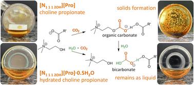 CO2 capture by carboxylate ionic liquids: fine-tuning the performance by altering hydrogen bonding motifs†