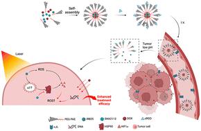 Suppression of the HSP90-HIF1α pathway with SNX2112-encapsulated nano-micelles for effective triple-negative breast cancer photothermal combined photodynamic therapy†