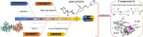Design, synthesis and evaluation of vanillin derivatives as dual-target inhibitors for the treatment of Alzheimer's disease