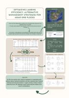 Optimizing lambing efficiency: Alternative management strategies for Assaf ewe flocks