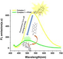 Aggregation-induced emission-active indium complex as fluorescent turn-off chemosensor for perfluoroalkyl substances†