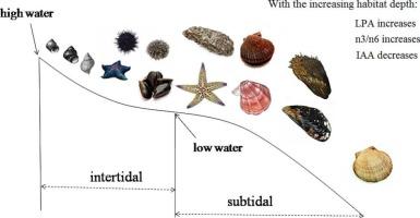 Comparative sensitivity of marine invertebrate lipids to oxidation under prooxidant conditions in vitro