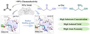 Structure-guided engineering of benzaldehyde lyase for efficient synthesis of dihydroxyacetone and one-pot biosynthesis of 2-amino-1,3-propanediol†