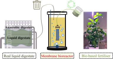 Valorisation of liquid anaerobic digestate into liquid fertilisers via membrane bioreactors: a proof-of-concept study