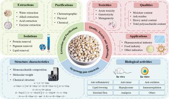 Extraction, purification, structural characterization and bioactivities of polysaccharides from coix seed: A review