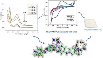 A tetra(aniline)-polyethylene glycol block copolymer for efficient electrochemical detection of urea coupled with DFT investigations†