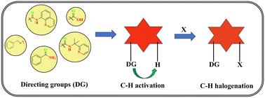 C–H bond halogenation: unlocking regiodivergence and enhancing selectivity through directing group strategies