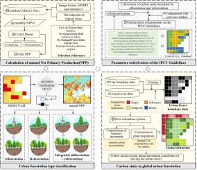 A remote sensing-based assessment of biomass carbon global temporal trends in urban forests