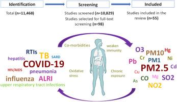 A systematic review of the pivotal role of environmental toxicant exposure on infectious diseases in low- and middle-income countries