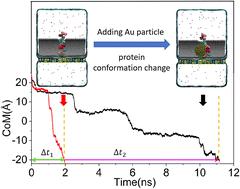 Regulation of protein translocation through A Si3N4-CNT stacked nanopore using an embedded gold nanoparticle†