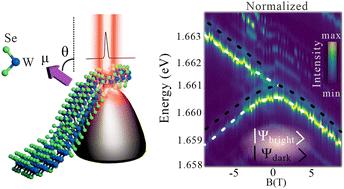 Observation of dark doublets induced by spin–flip processes in WSe2†