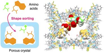 Shape sorting of two distinct amino acid residues at the multiple binding sites of a porous metal-macrocycle framework†
