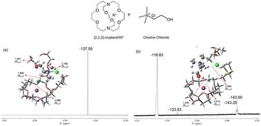 Probing the hydroxyl in [2,2,2]-cryptand/KF/choline chloride non-covalent host–guest complex in solution by 19F-NMR spectroscopy: structural correlation and thermodynamic reversal of host–guest configurations in solution and in the gas phase†