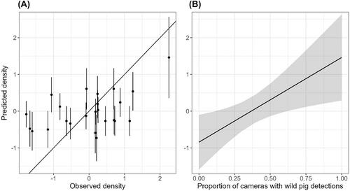 Comparison of removal and spatial mark-resight models for estimating wild pig density