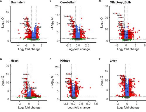 Tissue-Specific Regulation of Fatty Acid Metabolism in a Mouse Model of Isolated Complex I Deficiency
