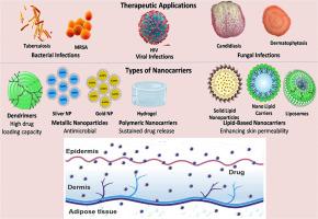 Nanotechnology-enhanced transdermal systems for infectious diseases