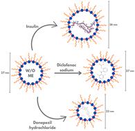 Babassu oil-based microemulsion promotes uniform in vitro release of diclofenac sodium and donepezil hydrochloride†
